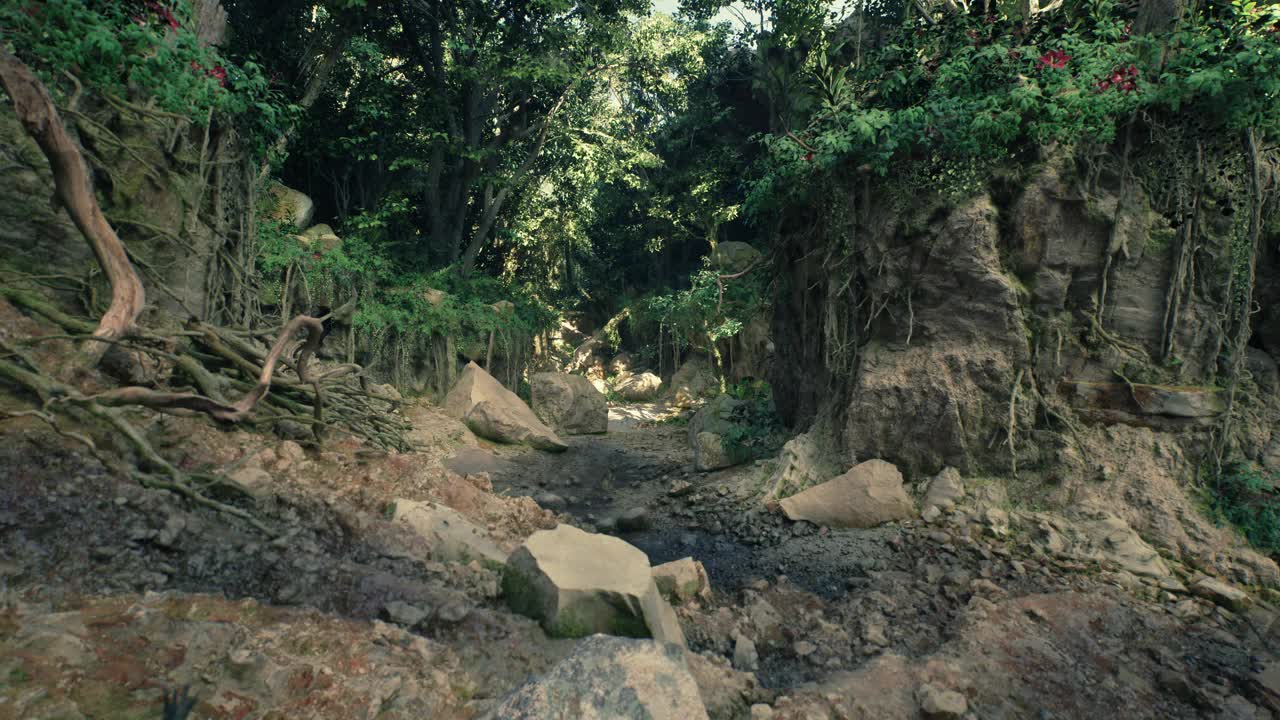 蜿蜒的土路穿过树木和岩石的森林。山路视频素材