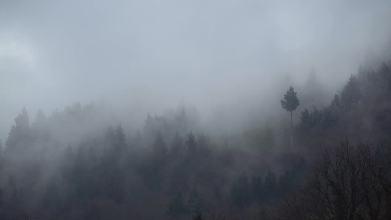 树木覆盖的山和上面的雾的壮丽景色视频素材