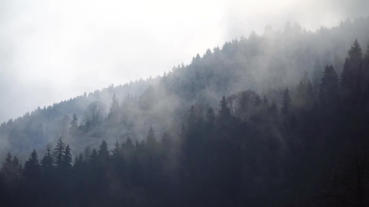 树木覆盖的山和上面的雾的壮丽景色视频素材