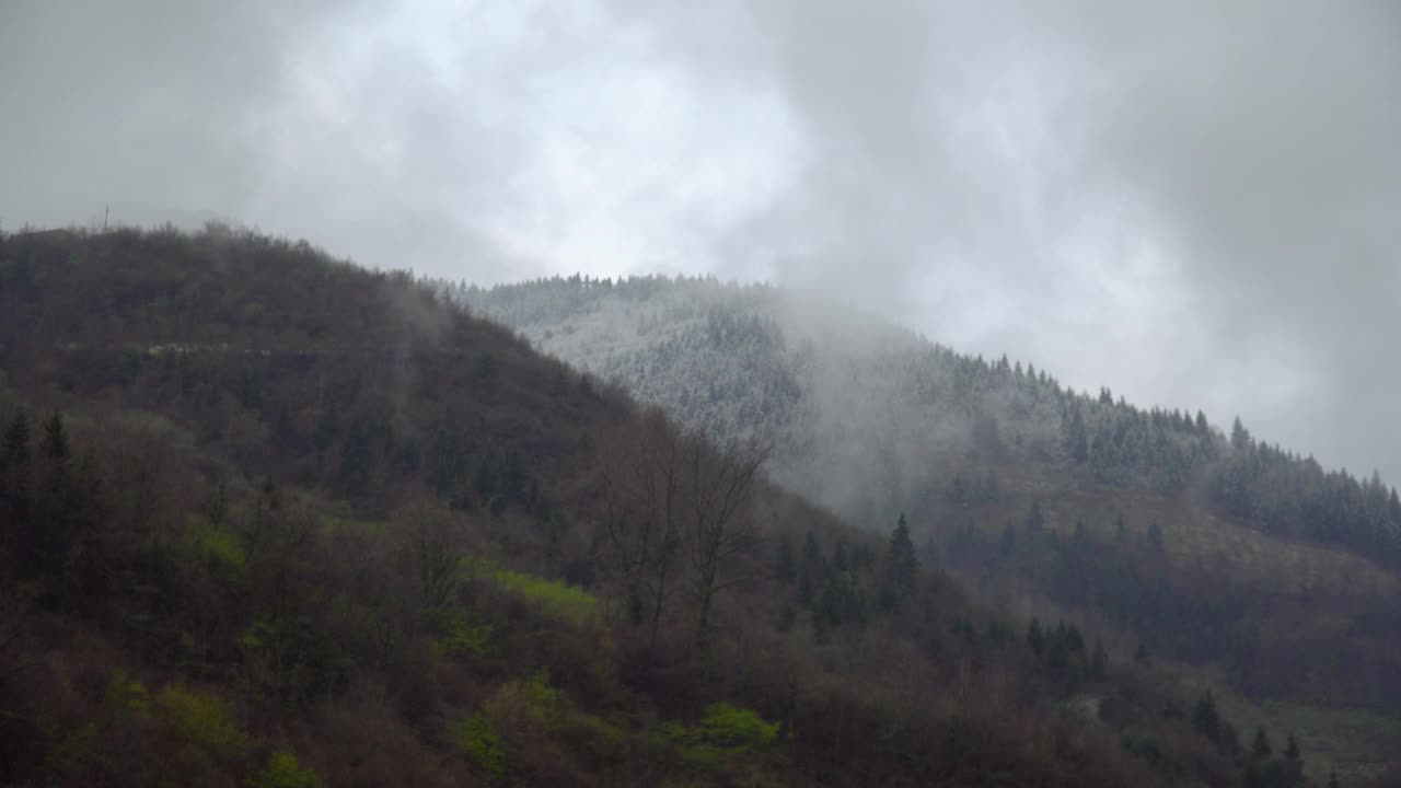 树木覆盖的山和上面的雾的壮丽景色视频素材