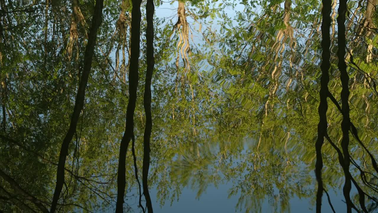 大自然美丽明亮的倒影在水中，荡漾在水面上视频素材