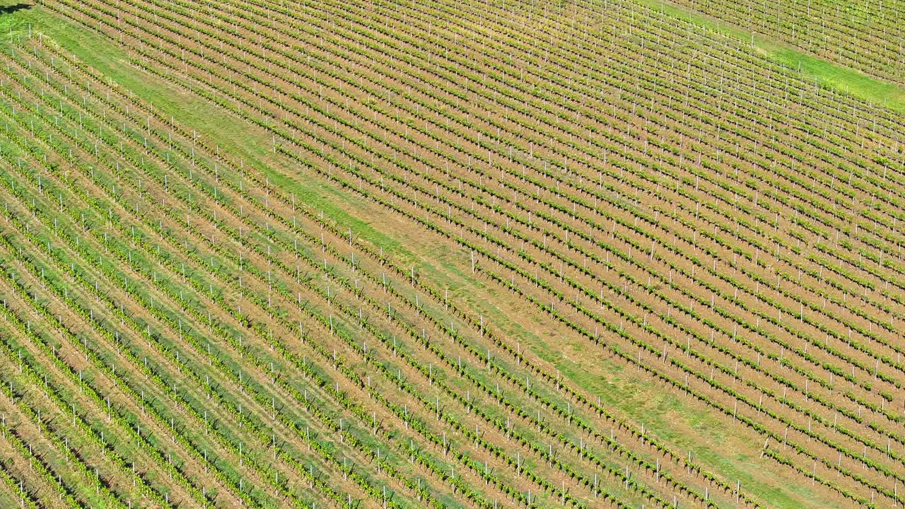 春天的基安蒂葡萄酒产区，意大利托斯卡纳视频素材