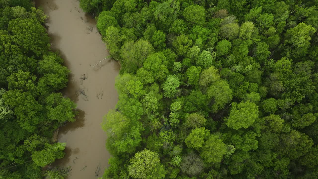 沃尔夫河蜿蜒穿过茂密的绿色在科利维尔，田纳西州，宁静的自然景观，鸟瞰图视频素材