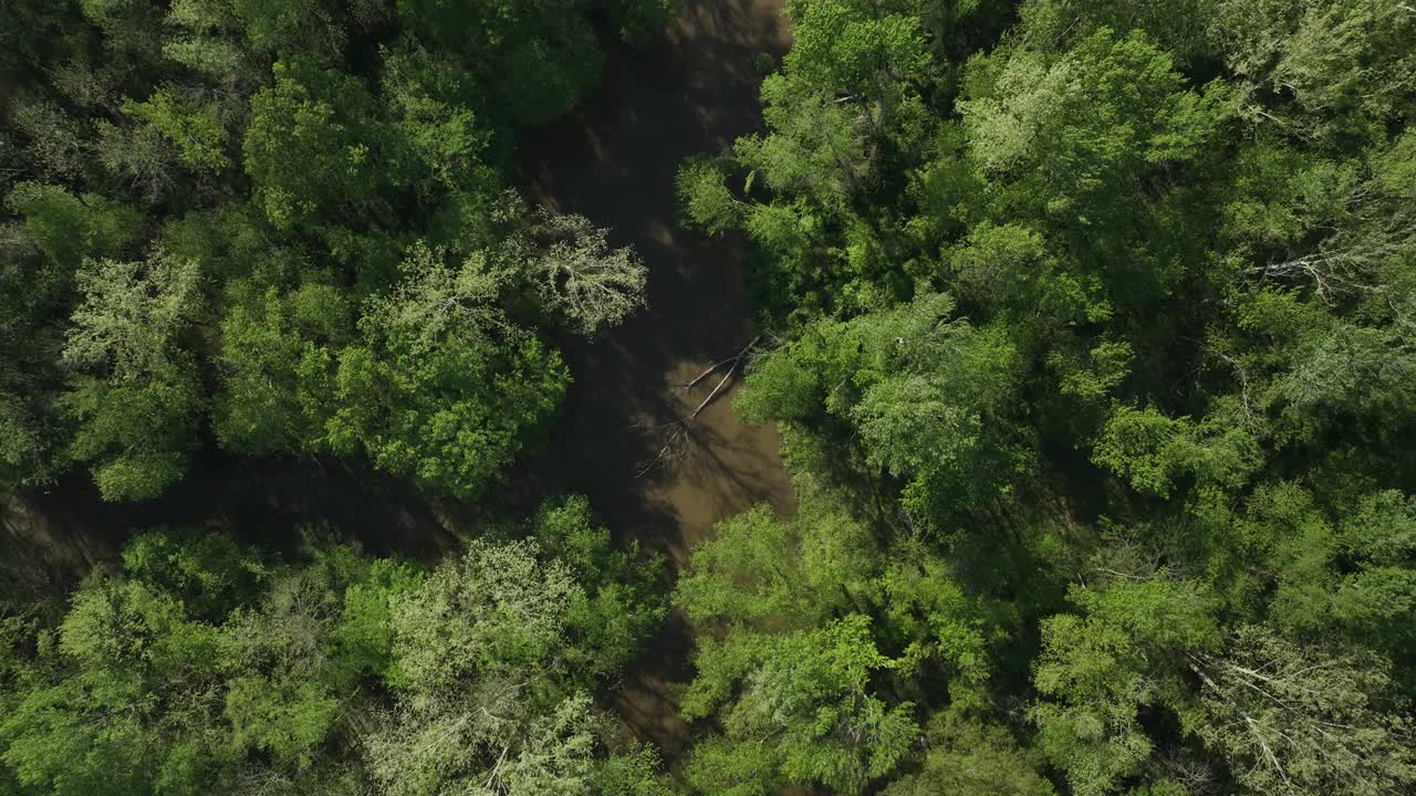 从空中俯瞰，在田纳西州的科利维尔，沃尔夫河流经茂密的绿色植物视频素材