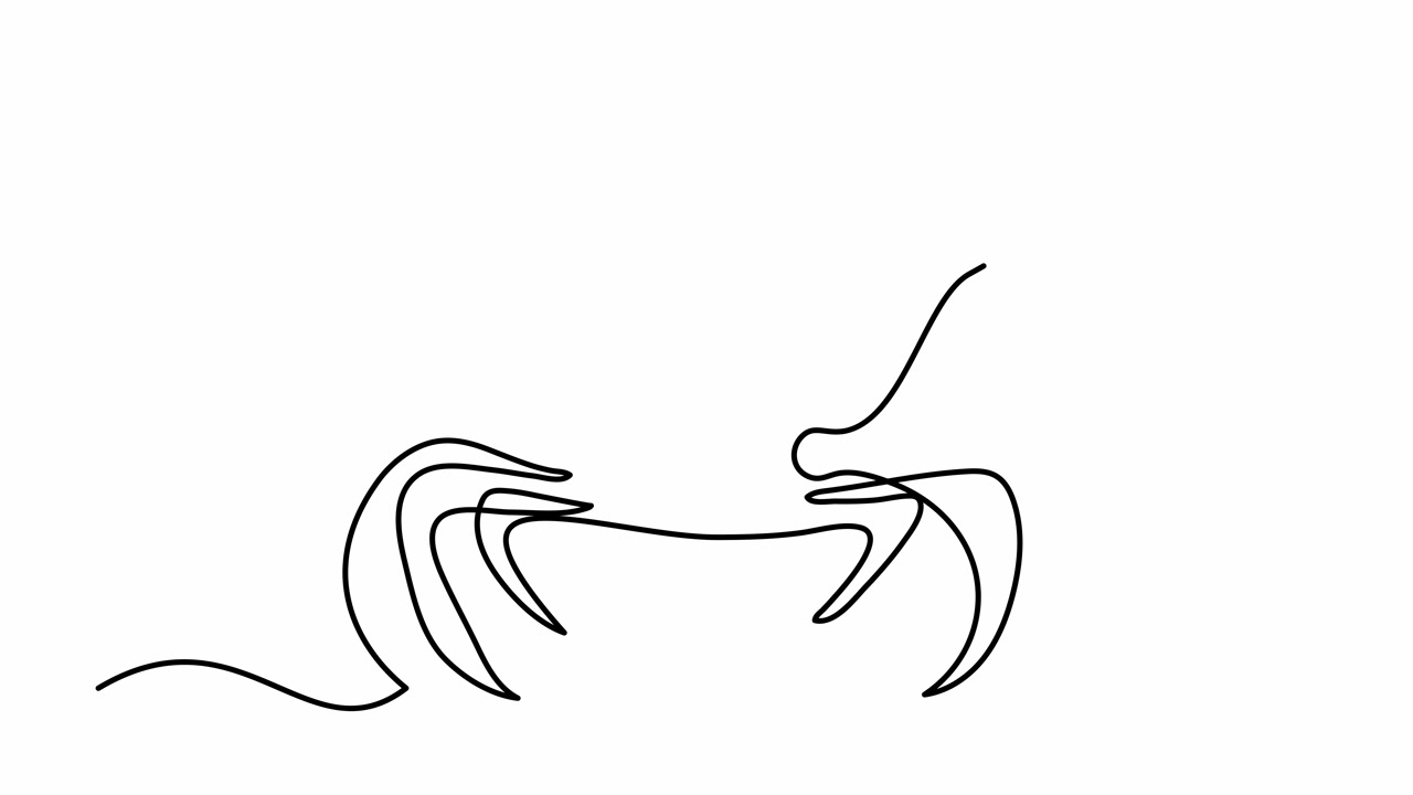 自绘制动画一连续线绘制，标志，视频素材画面2