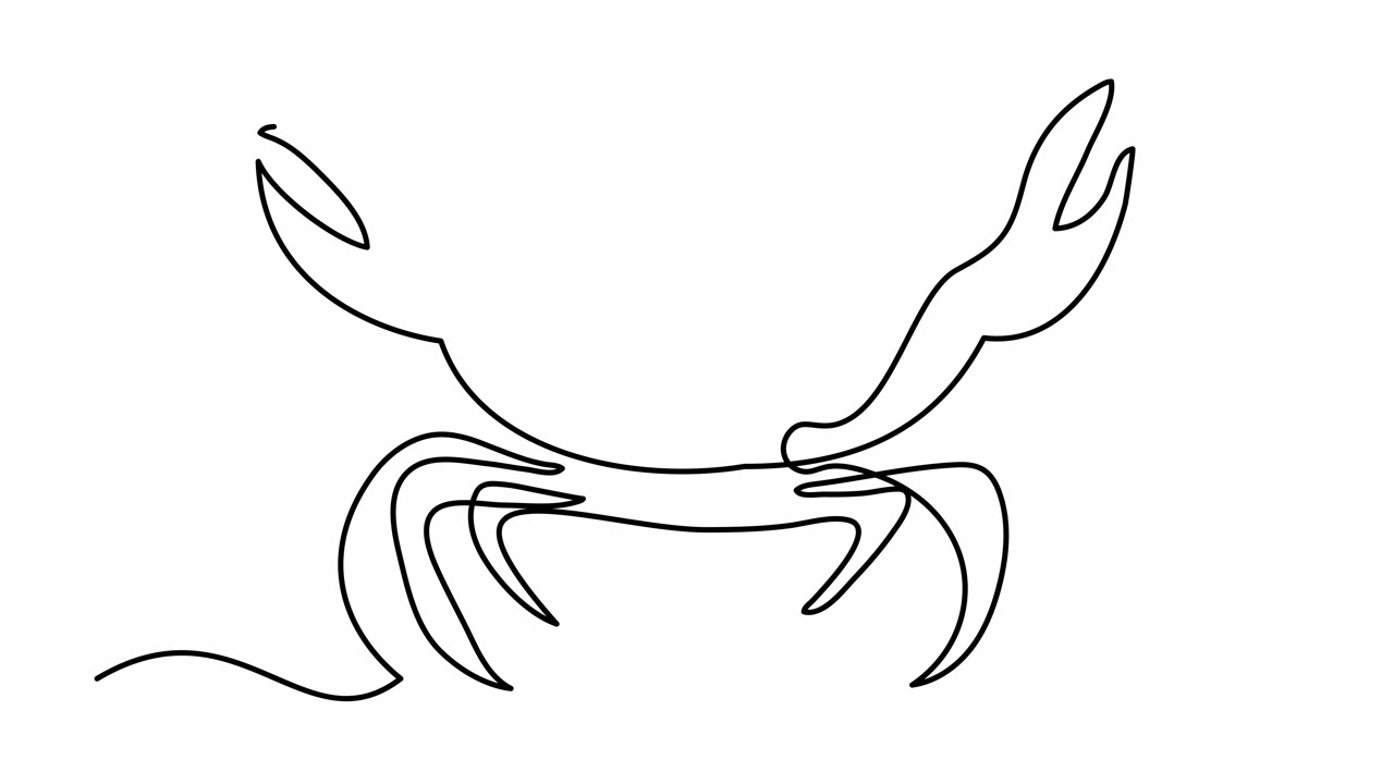 自绘制动画一连续线绘制，标志，视频素材画面3