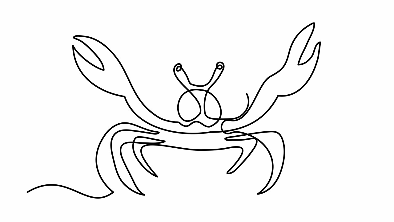 自绘制动画一连续线绘制，标志，视频素材画面4