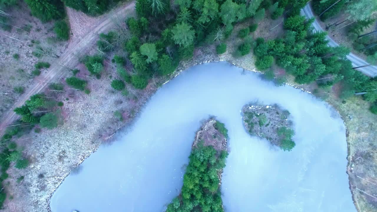 高空俯瞰的松树和云杉常绿森林视频素材