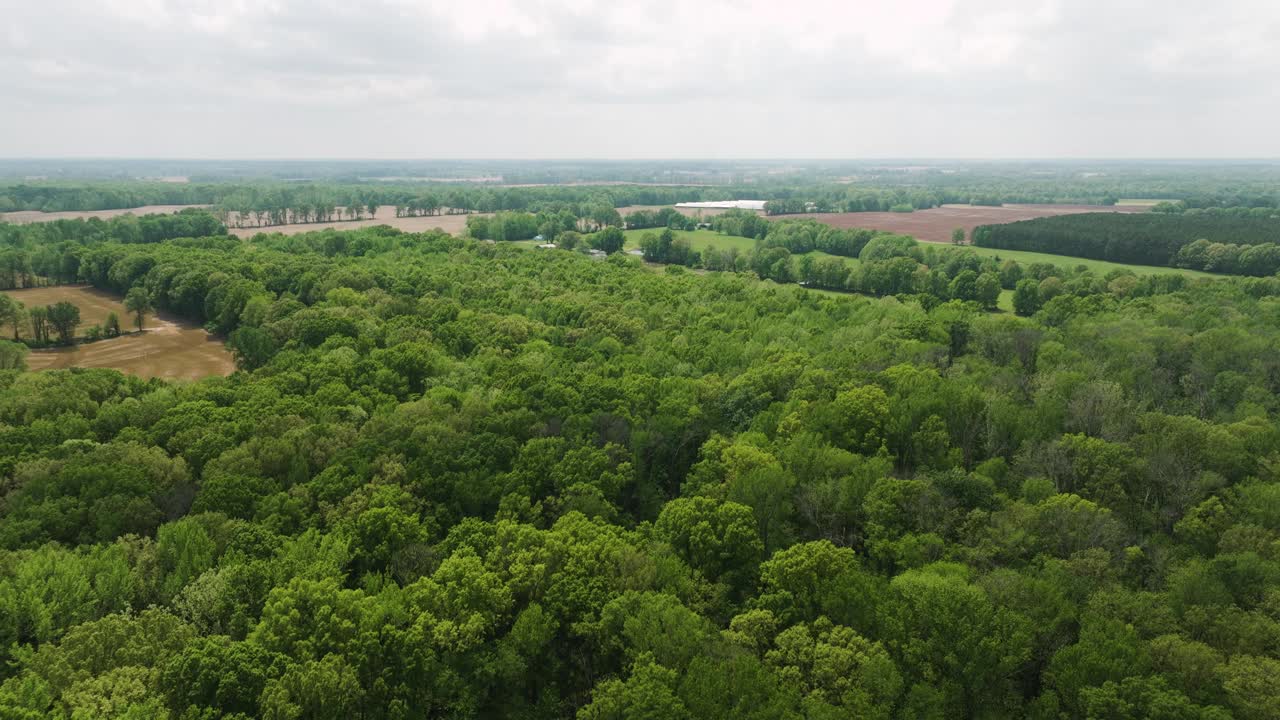 大柏树州立公园，田纳西州，展示了郁郁葱葱的绿色和广阔的景观，鸟瞰图视频素材