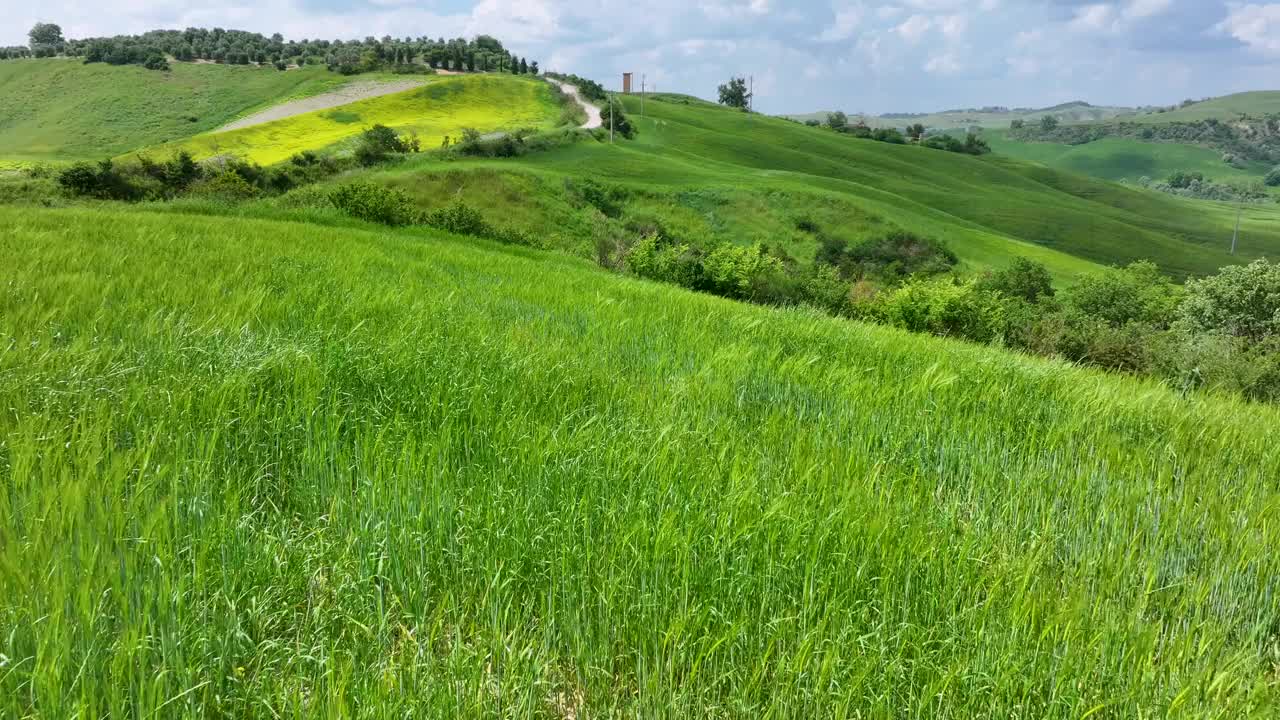 春天的克里特岛塞内西乡村，意大利托斯卡纳视频素材