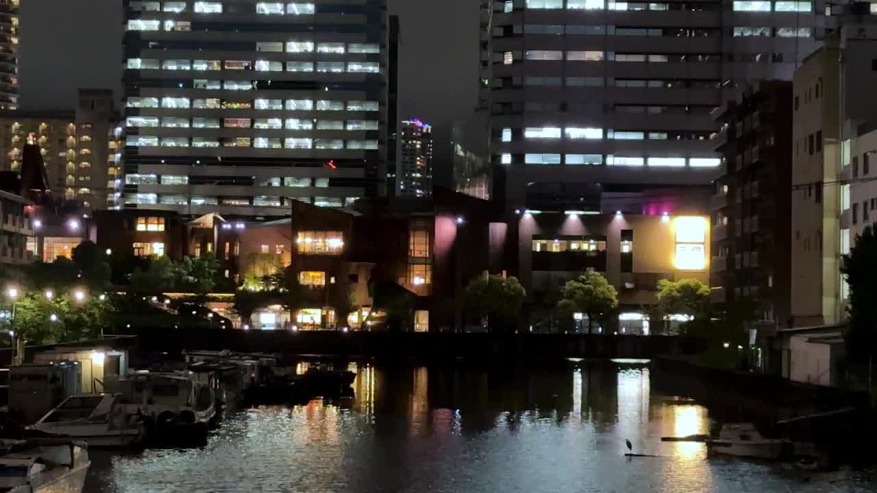 被照亮的城市建筑反射在水中的夜景视频素材