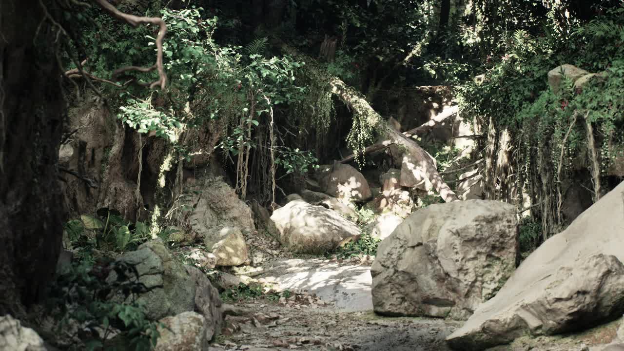 蜿蜒穿过岩石和树木的土路。山路视频素材