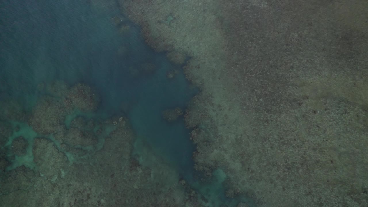 鸟瞰虎克岛珊瑚礁，圣灵岛，昆士兰，澳大利亚。视频素材