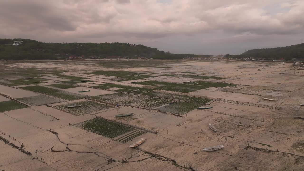 巴厘岛日出时的海藻养殖场鸟瞰图。视频素材