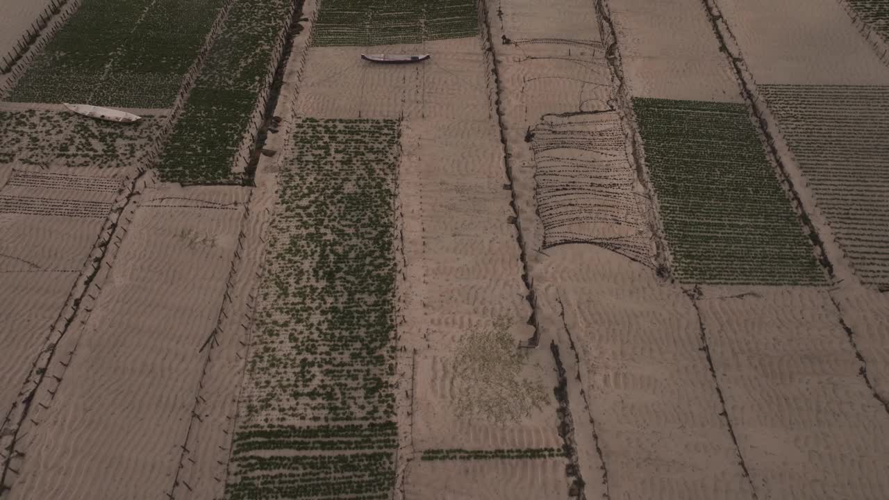 鸟瞰图的海藻农场和种植园与船只在巴厘岛的日出。视频素材