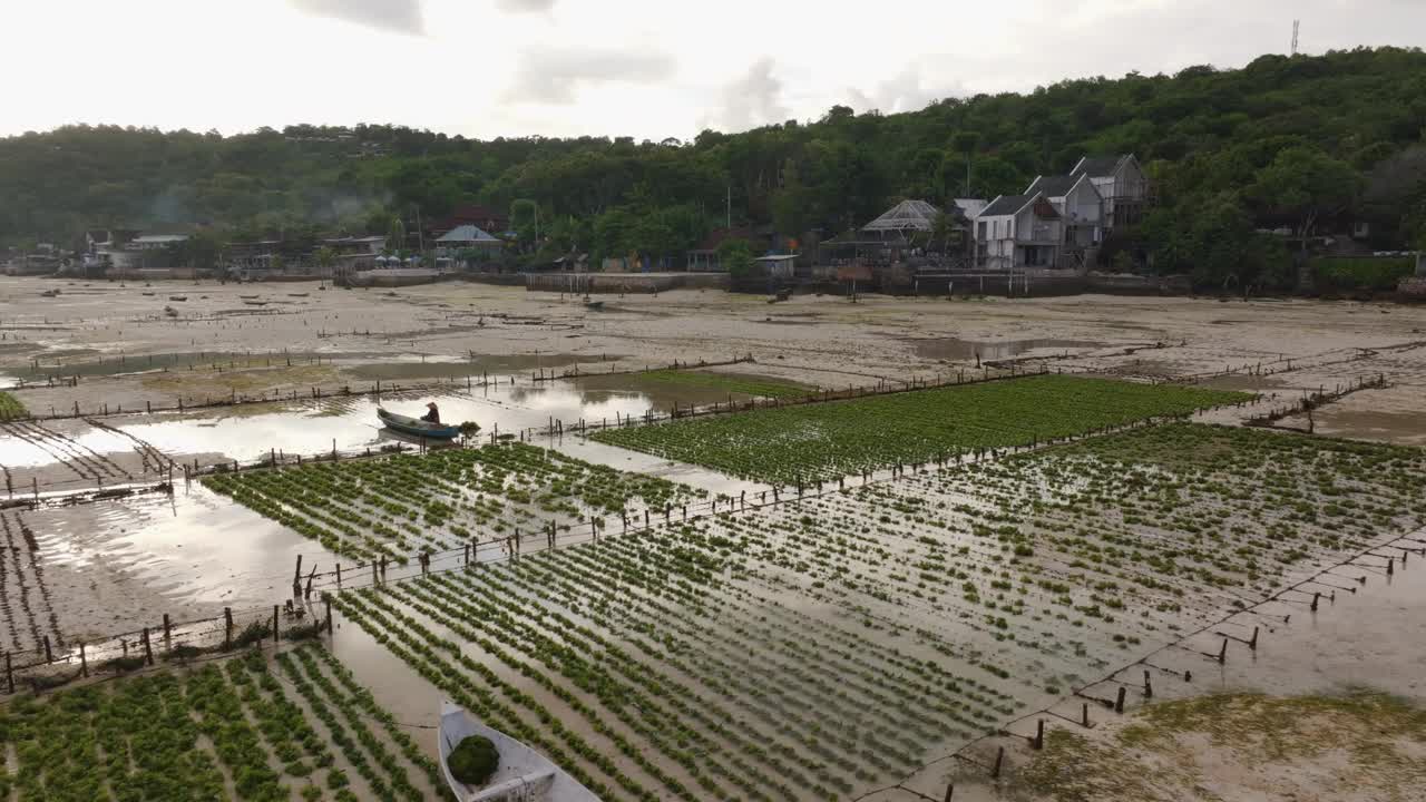 鸟瞰海藻农场和种植园，印度尼西亚。视频素材