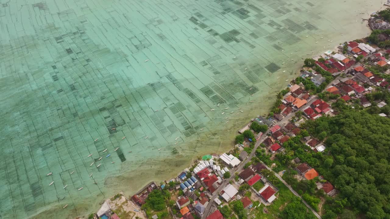 鸟瞰图海藻农场和村庄的海洋，巴厘岛。视频素材