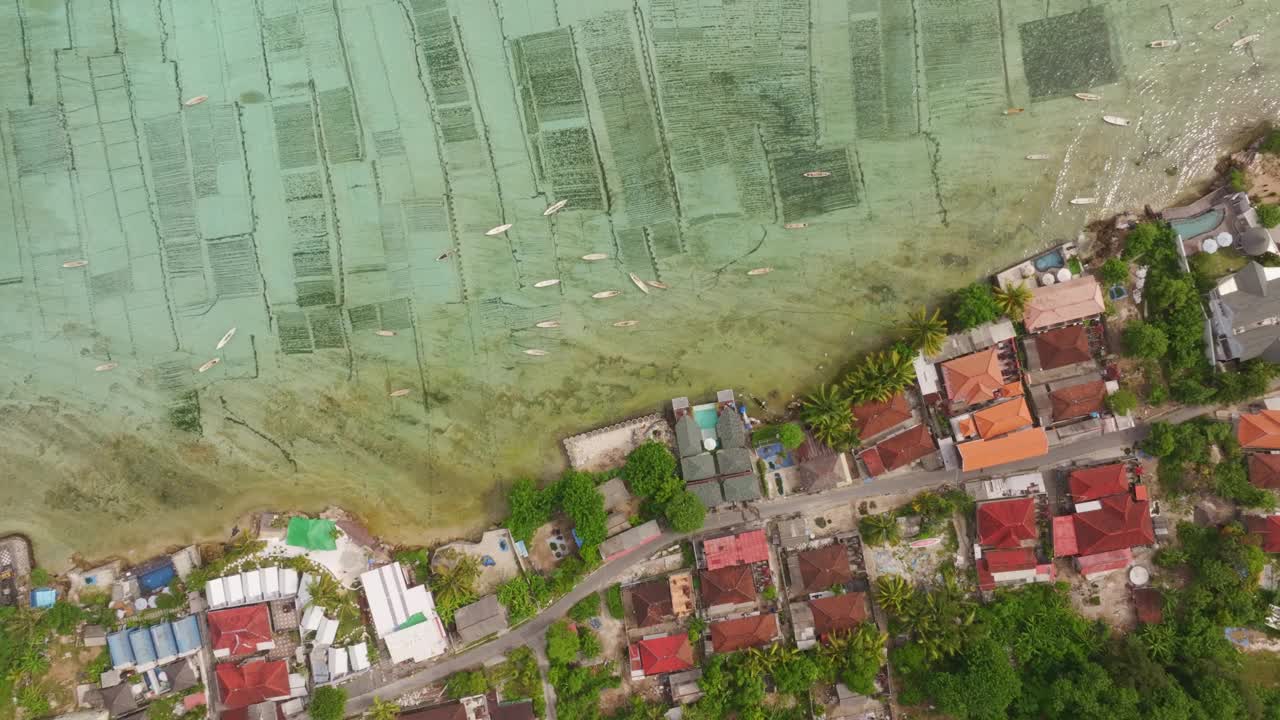 海草农场和村庄的鸟瞰图，在海洋中的船只，巴厘岛。视频素材