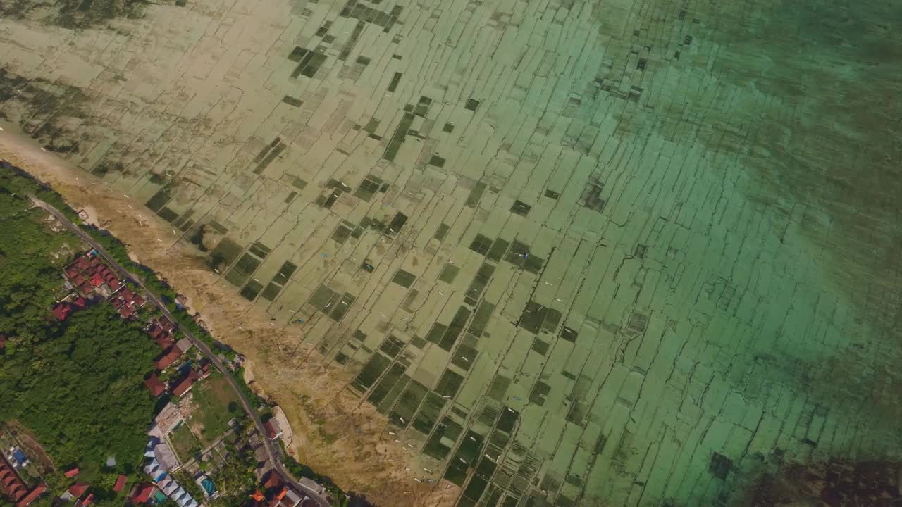 鸟瞰图海藻农场，种植园，村庄在日出的海洋，巴厘岛。视频素材