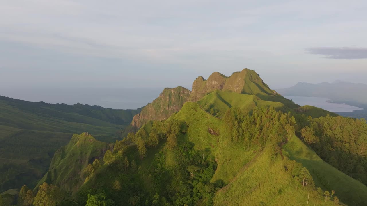 鸟瞰图，郁郁葱葱的绿色植物和雄伟的火山，印度尼西亚。视频素材