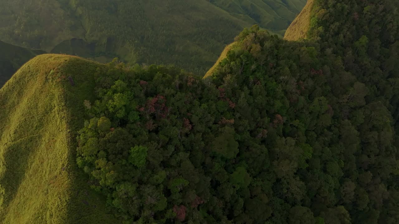 鸟瞰郁郁葱葱的火山景观，印度尼西亚的inrie山。视频素材