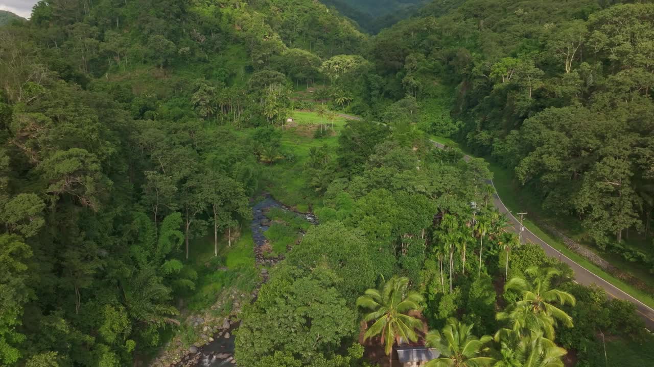 鸟瞰印尼郁郁葱葱的稻田、森林和河流。视频素材