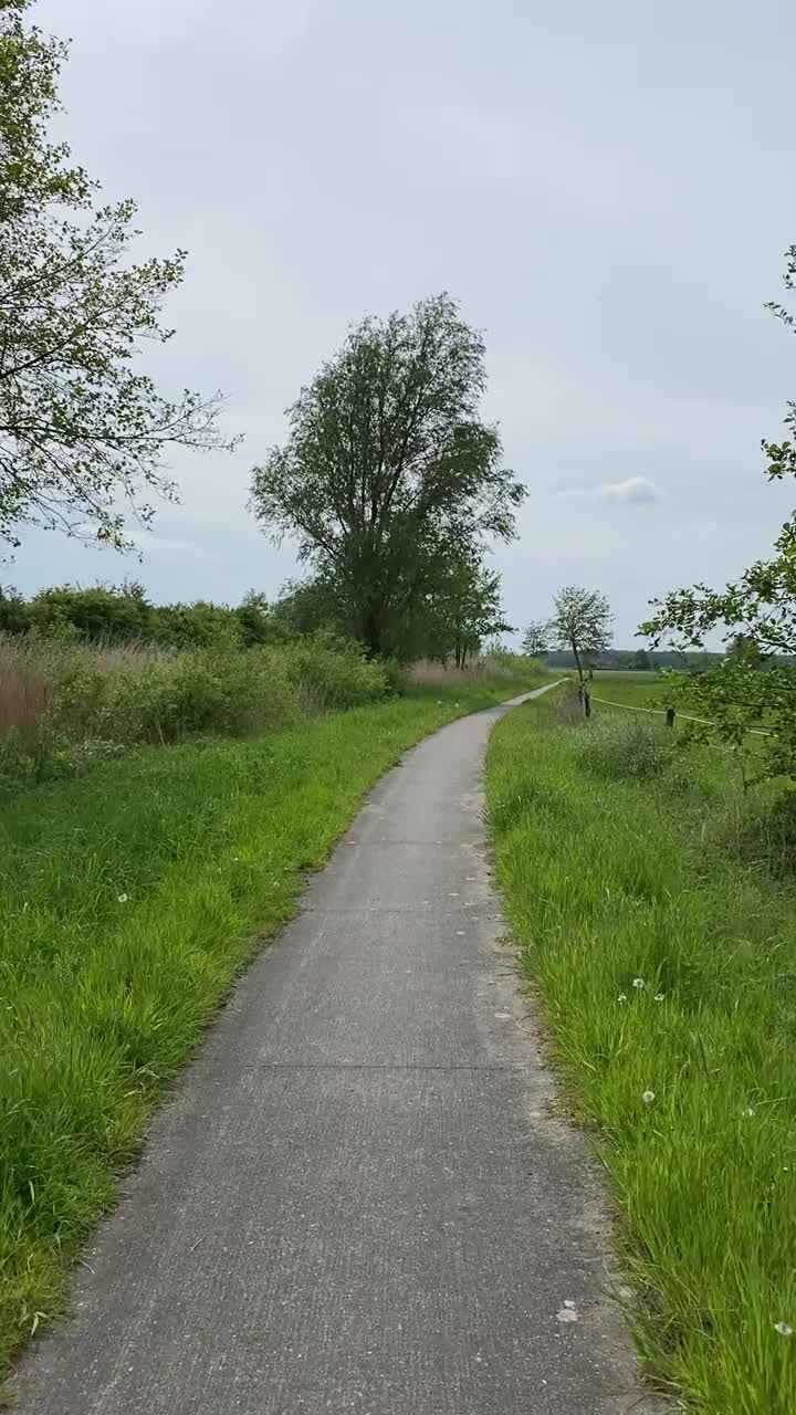 沿着小路沿着田野。在荷兰骑自行车视频下载