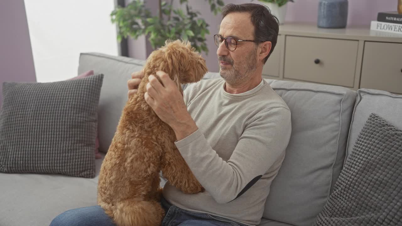 成熟的西班牙裔男子享受与贵宾犬在一个舒适的客厅设置时间。视频素材