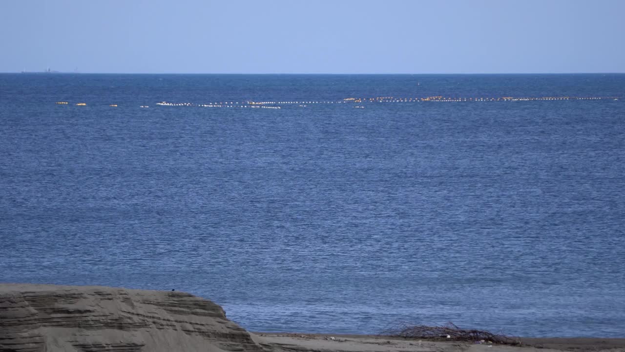 平静的海面上有海鸥视频素材