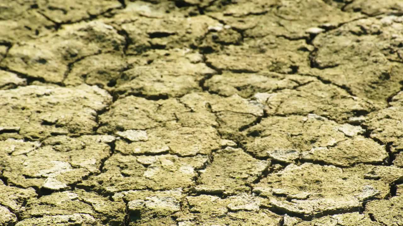 旱地干裂，土壤干裂，土壤环境问题，无雨田视频素材