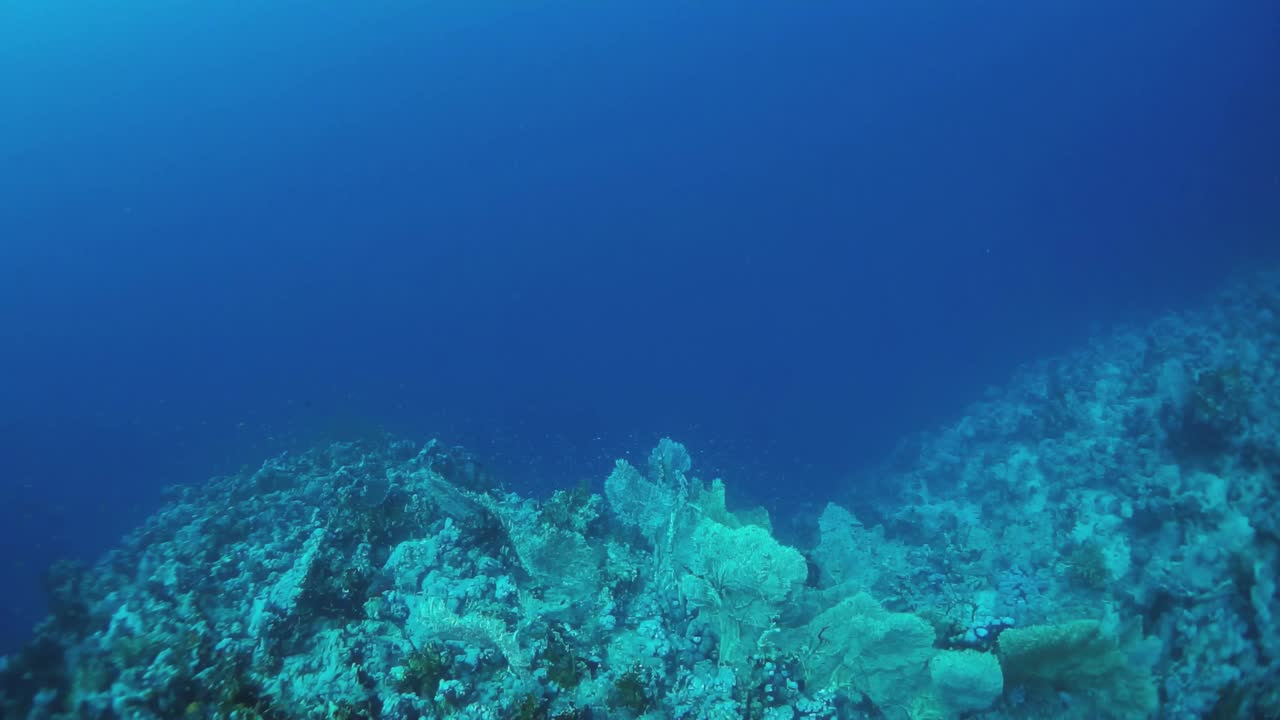 大海是蓝色的，岩石是白色的视频素材