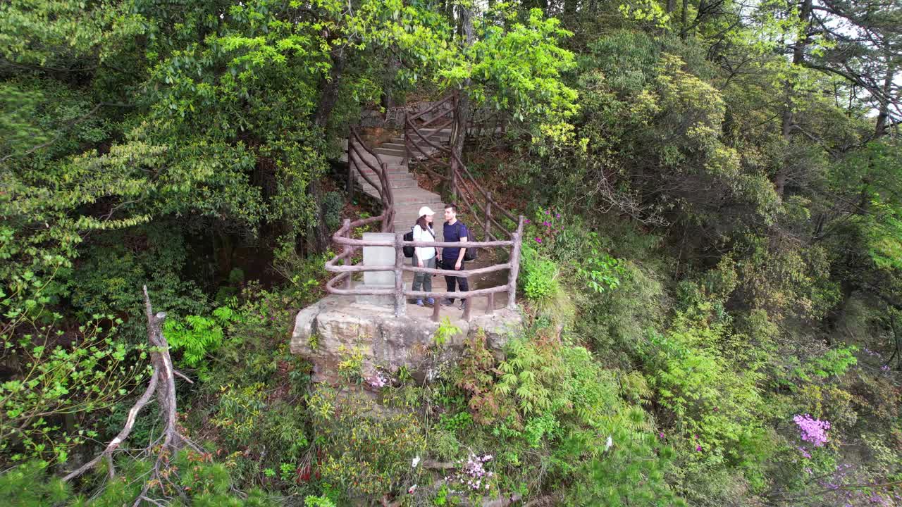 一对夫妇在张家界黄石寨绿意盎然的美景中欣赏风景。空中视频素材