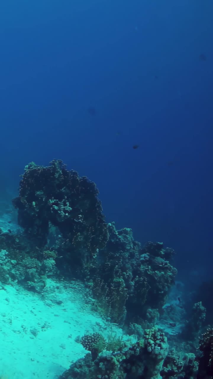 蓝色的海洋，底部是岩石视频素材