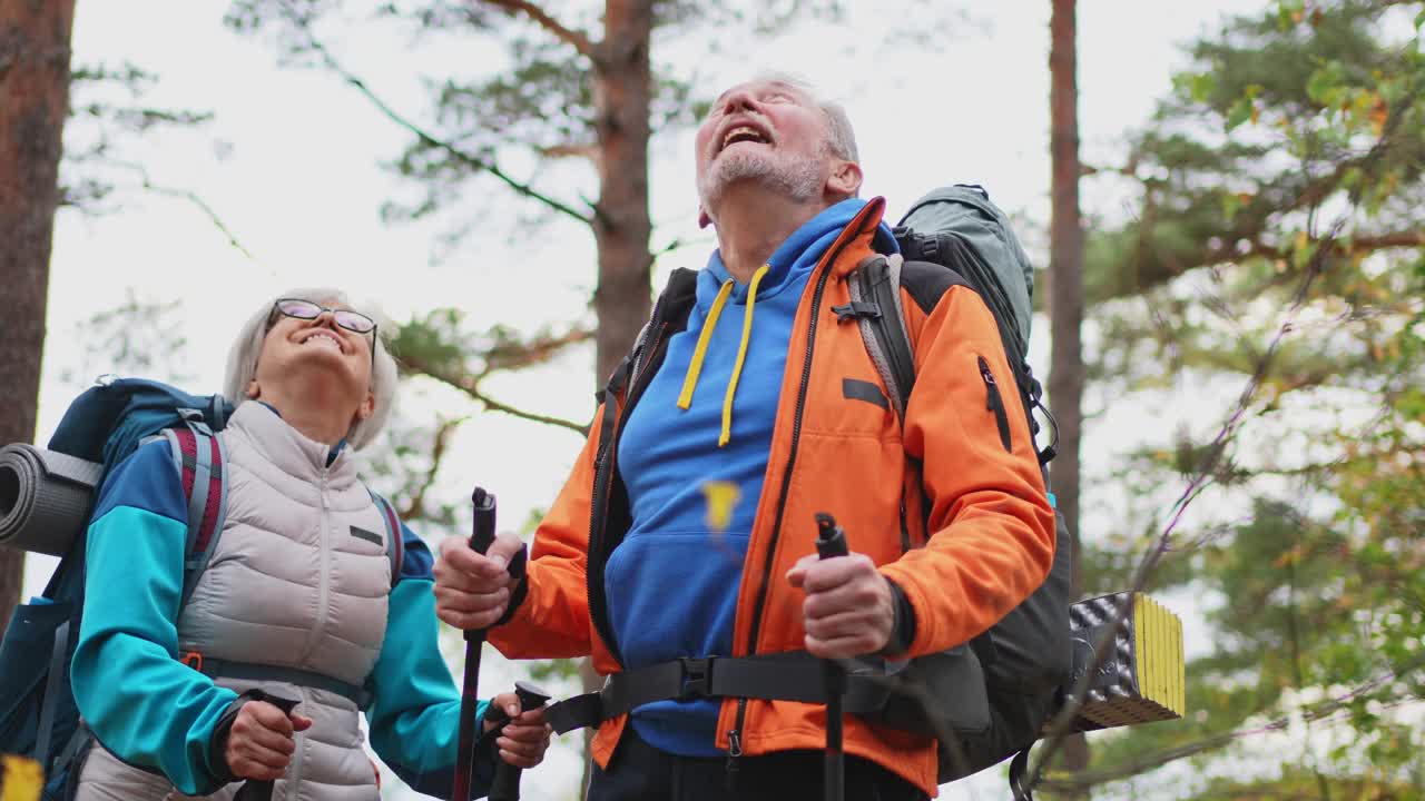 徒步旅游探险。老年夫妇，男人，女人，享受户外娱乐，在森林里徒步旅行，快乐的老人，背包客，徒步旅行者，享受徒步旅行，徒步旅行旅游，积极的假期，大自然的美丽视频素材