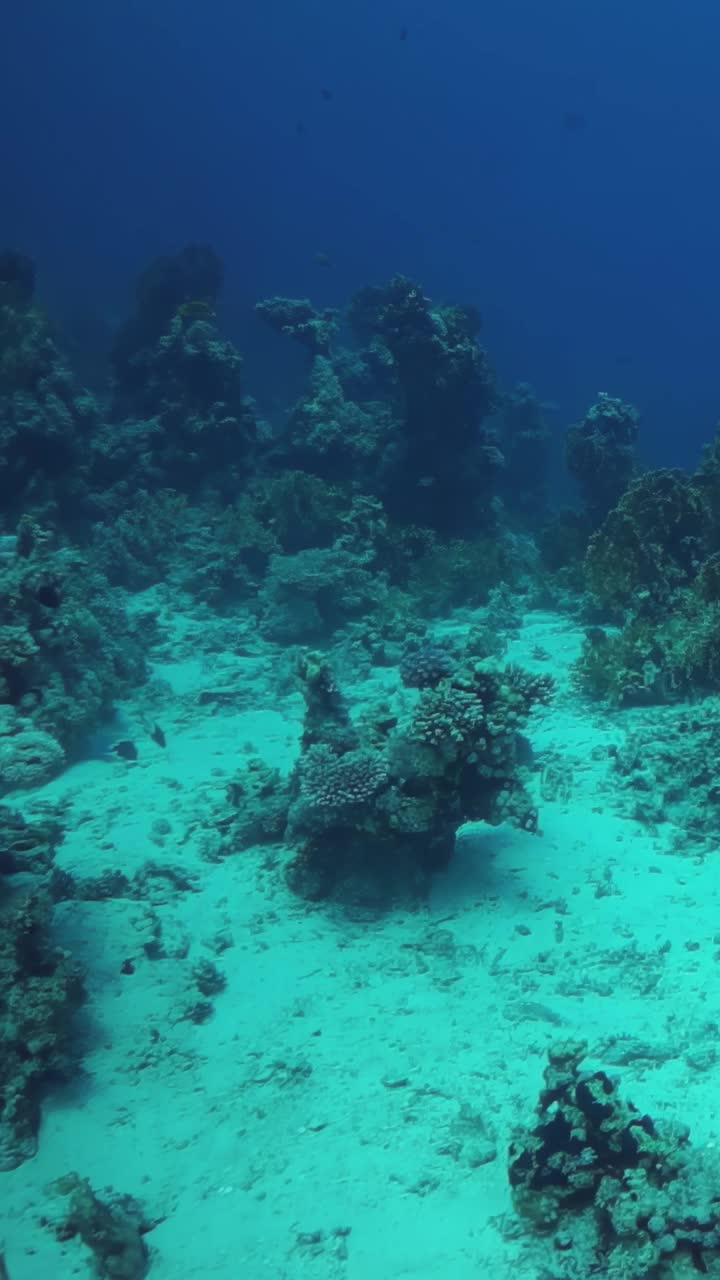 蓝蓝的海洋，沙底视频素材