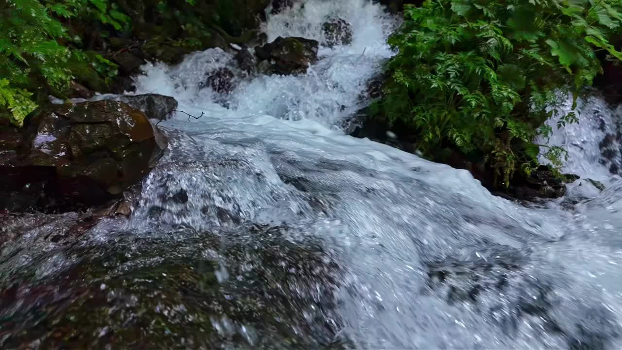 淡水视频下载