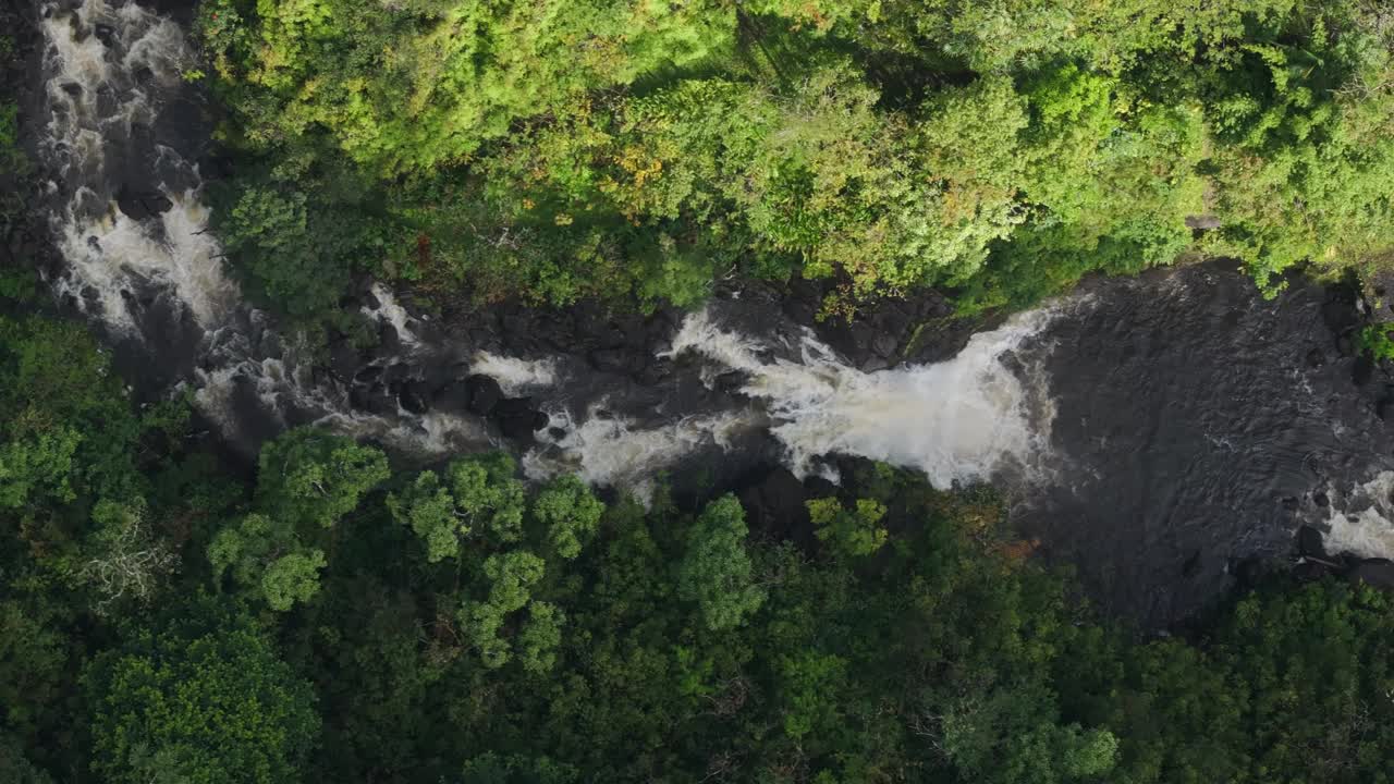 从毛伊岛北岸俯瞰，郁郁葱葱的热带森林和流经的河流视频素材