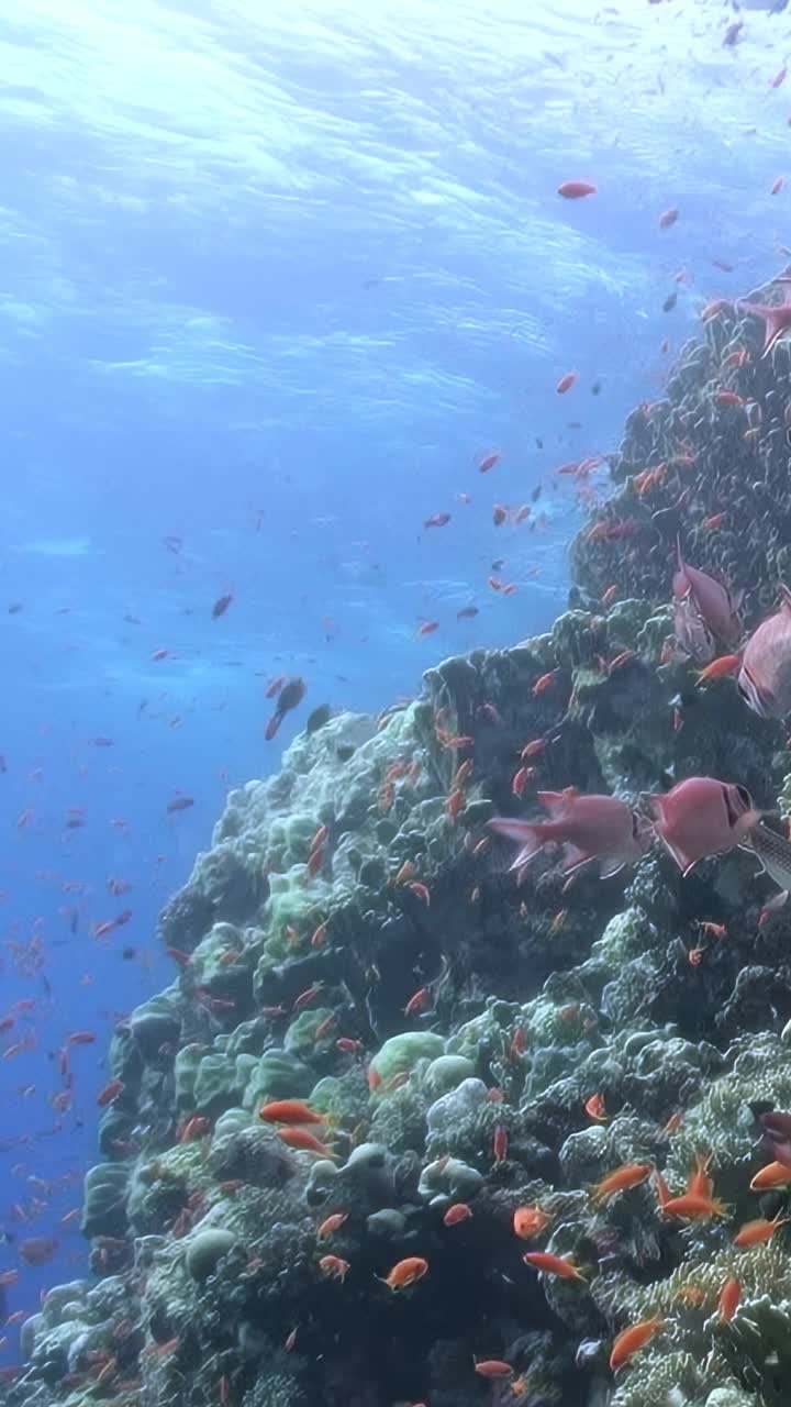 蓝色的海洋和岩石峭壁视频素材