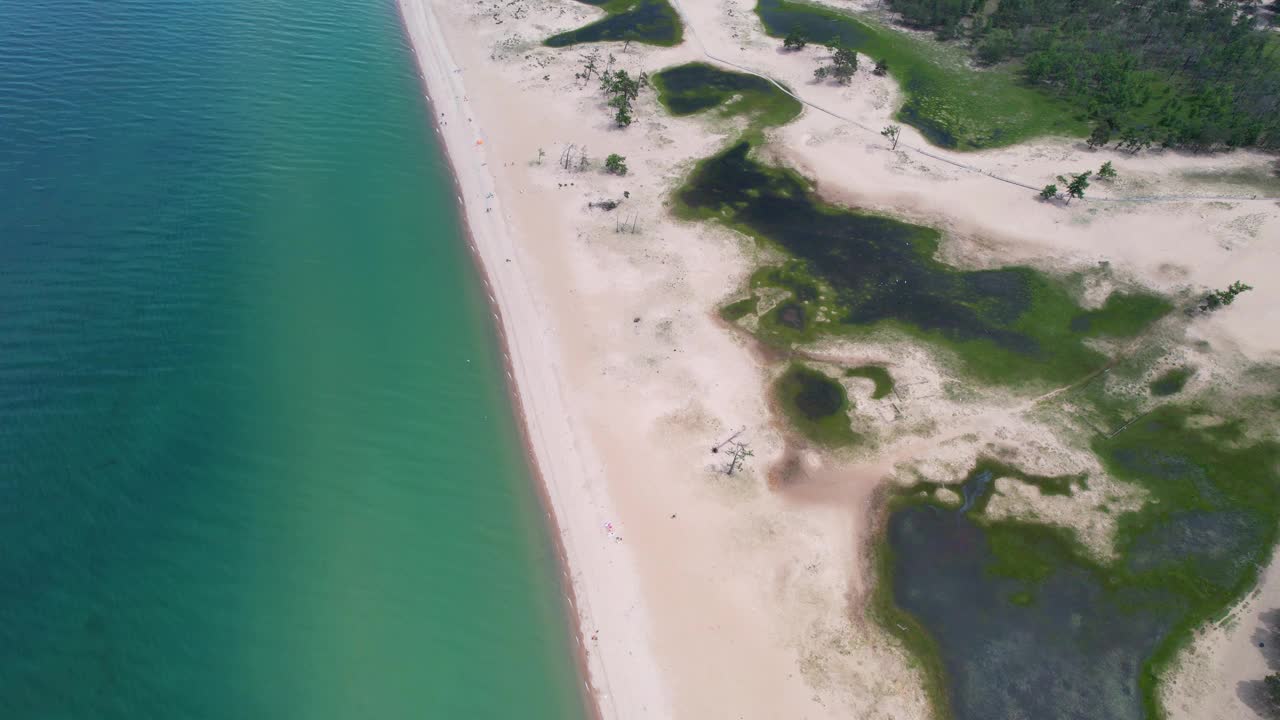 从空中俯瞰夏天的沙滩湖。野生动物视频下载