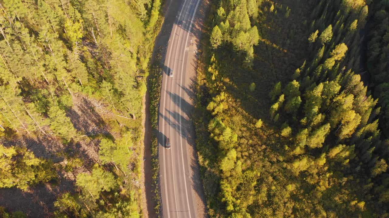 夕阳余晖下森林中央道路的鸟瞰图。视频下载