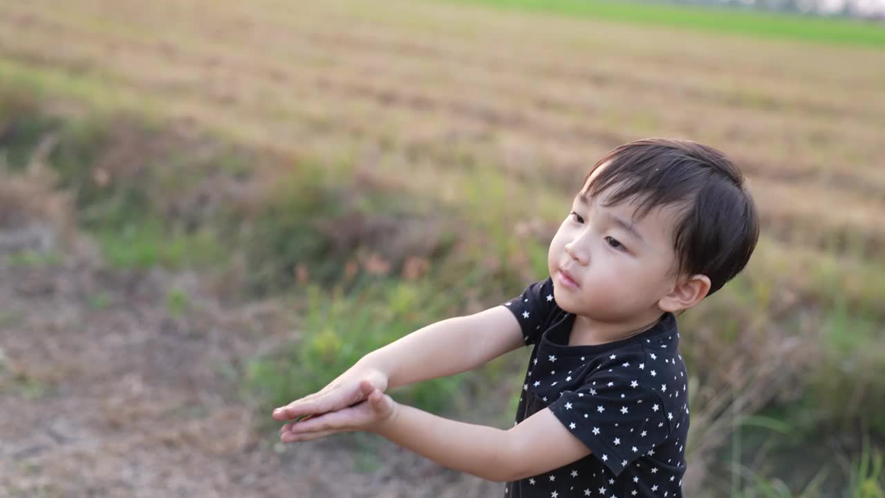 亚洲可爱男孩和妈妈在田野里玩花。全家在公园度假。课堂外教育概念。视频下载