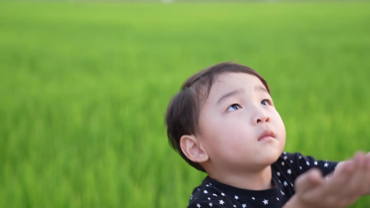 亚洲可爱男孩和妈妈在田野里玩花。全家在公园度假。课堂外教育概念。视频下载