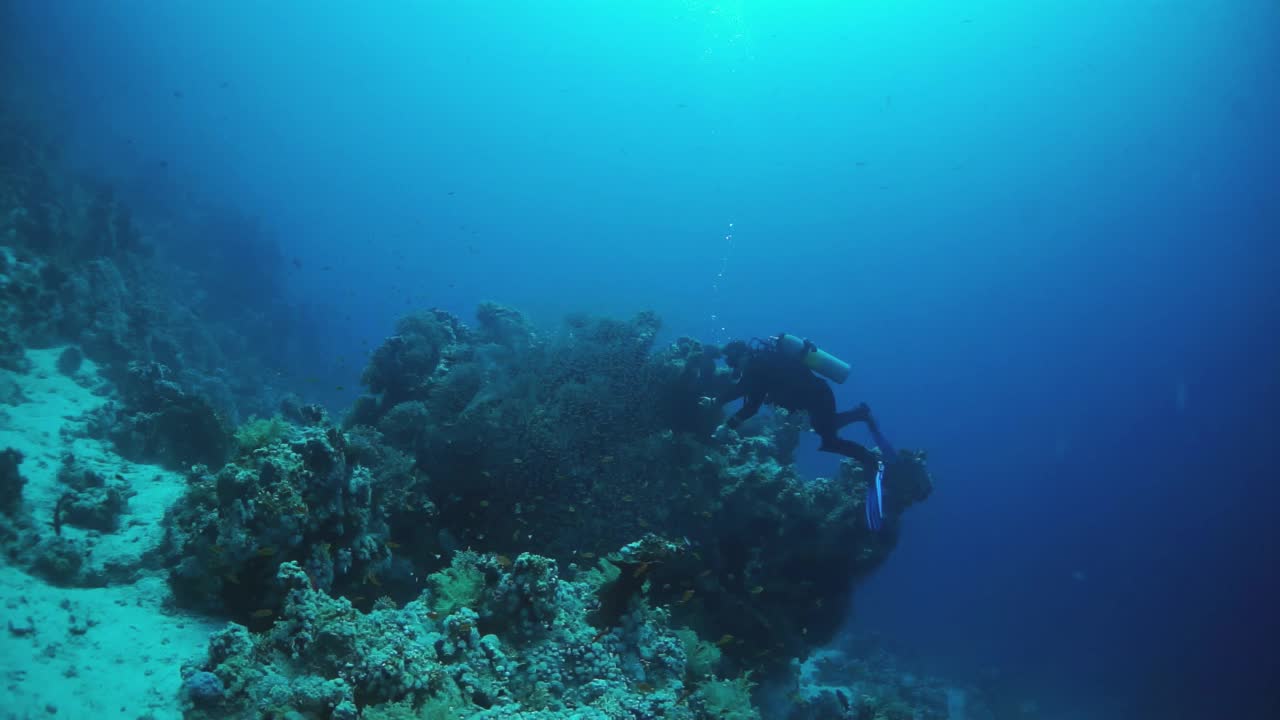 一个人在海里潜水视频素材