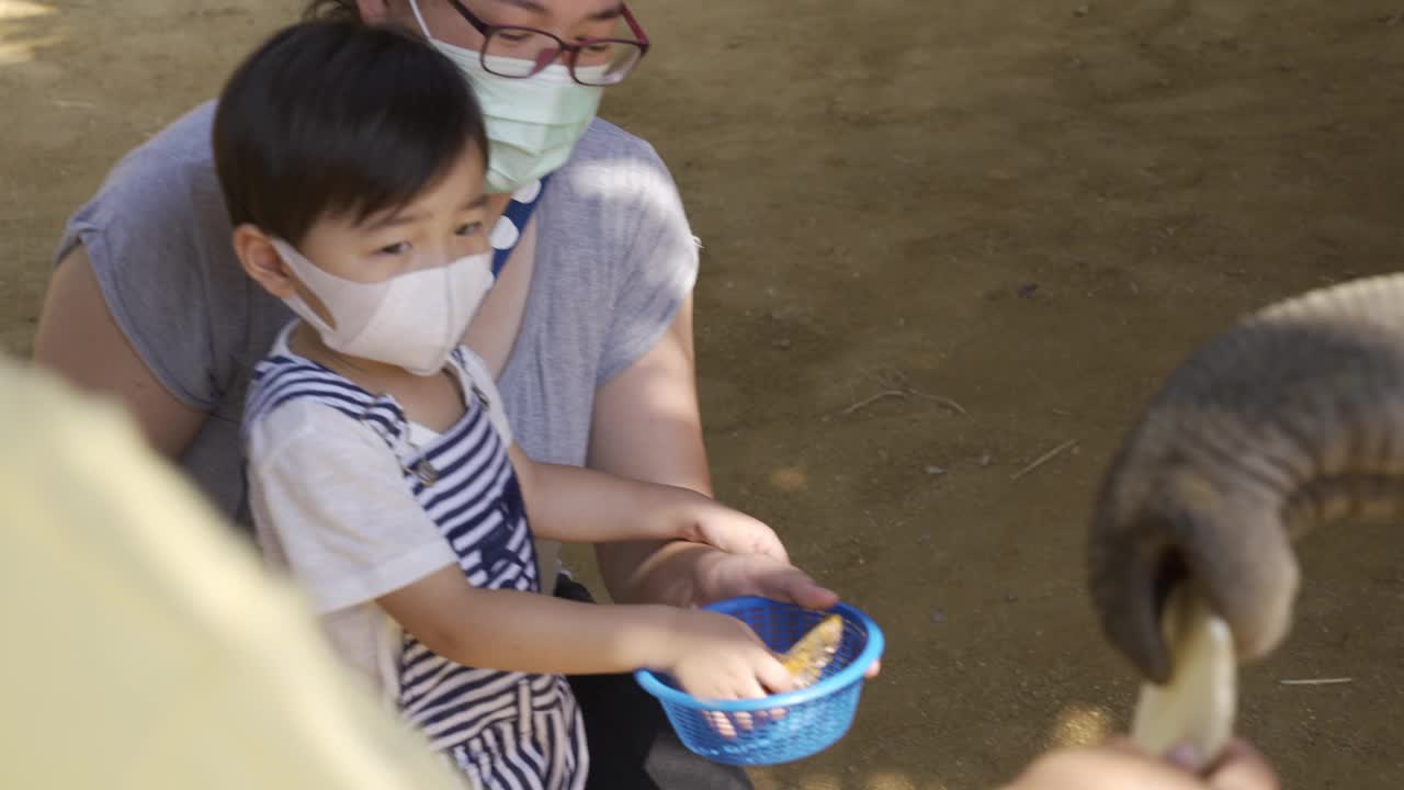 亚洲母子在喂大象视频下载