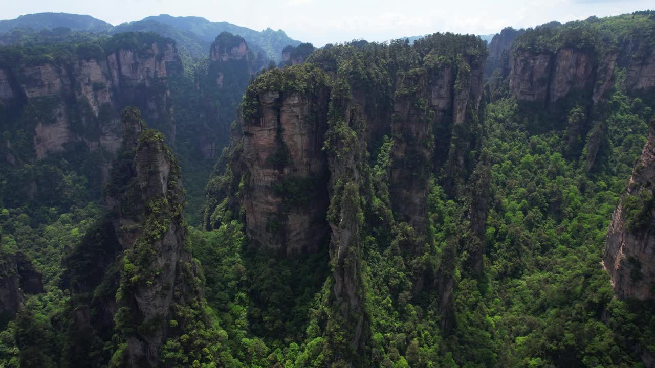 无人机飞向哈利路亚山，对准山顶的森林。Yuanjiajie,张家界视频素材