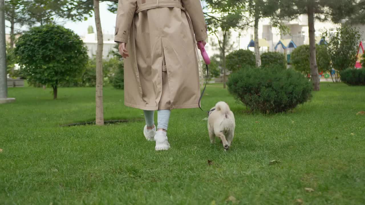 一个女人带着她可爱的哈巴狗在公园里散步，特写。镜头跟着女孩和狗移动视频素材