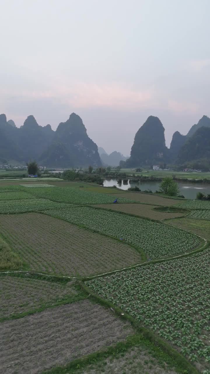 越南农田和山脉鸟瞰图，垂直视频素材