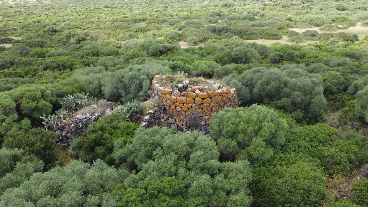 Nuraghe Pidighi, Solarussa Pidighi的Nuragic建筑群视频下载