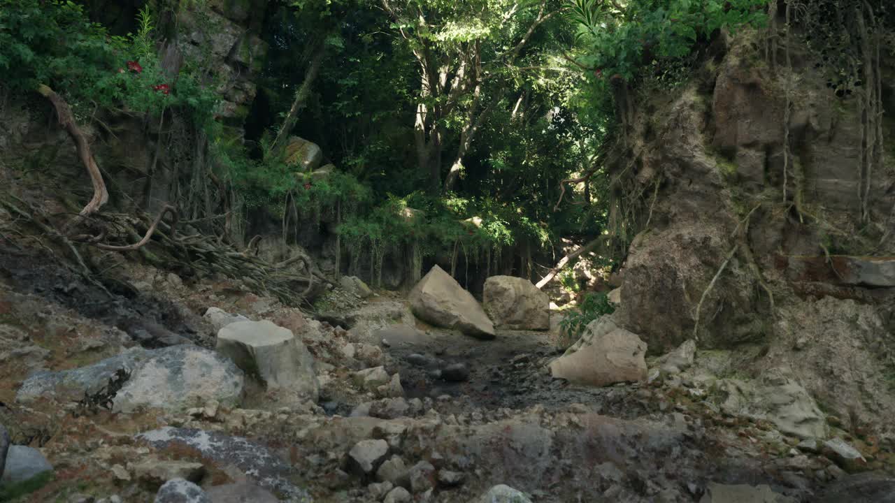 一条宁静的小溪流经生机勃勃的澳大利亚雨林。山路视频素材