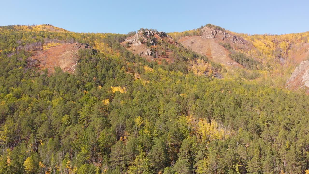 如画的秋景。山，森林，树木在黄色和绿色的颜色。视频下载